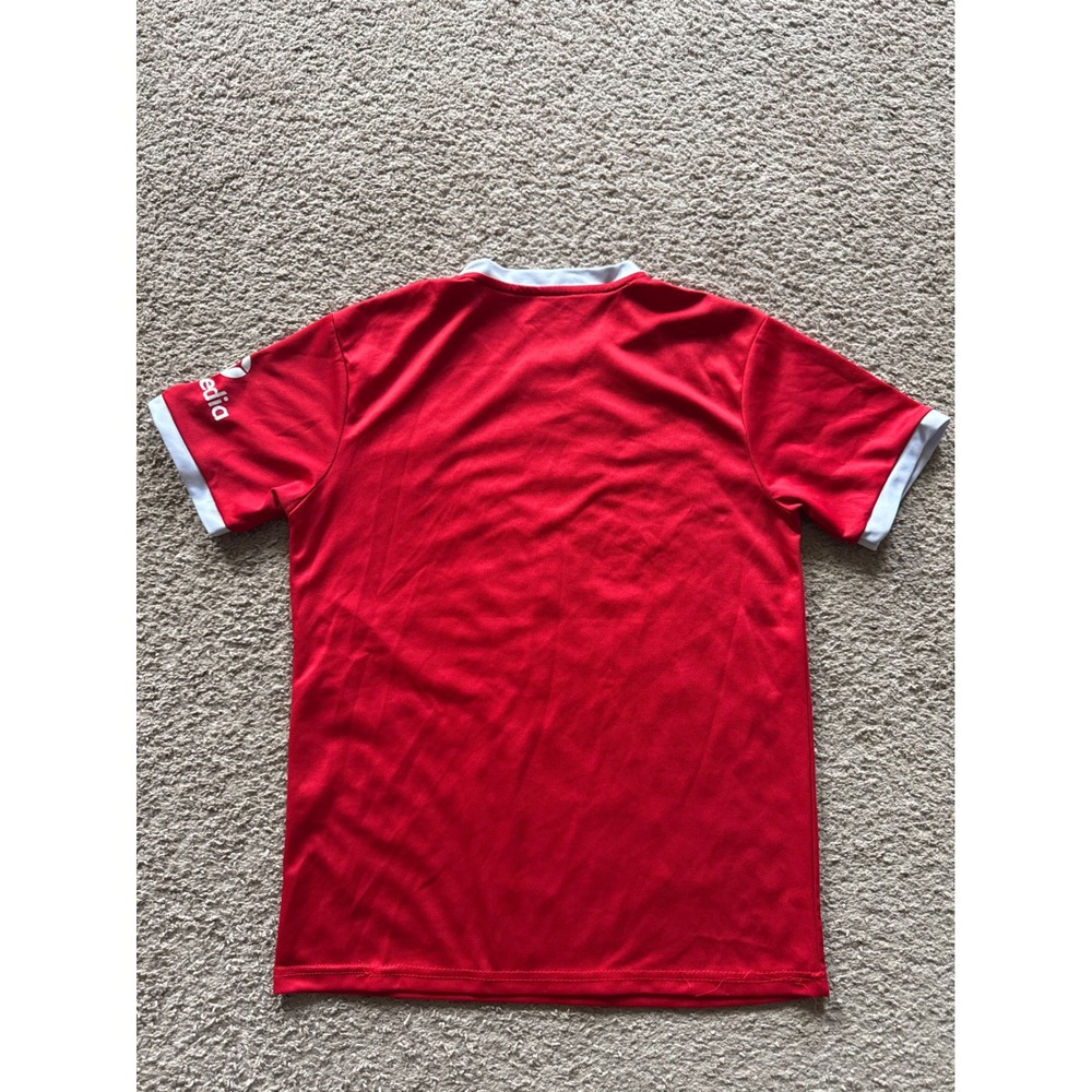 Nike Liverpool FC 2023-24 Home Jersey Red Soccer Shirt Mens Small DX2692-611 - Picture 9 of 10